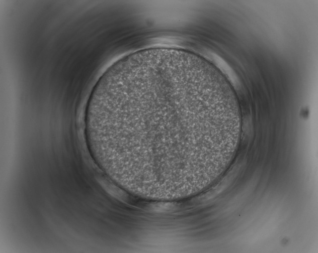 X0000102831435200809151029