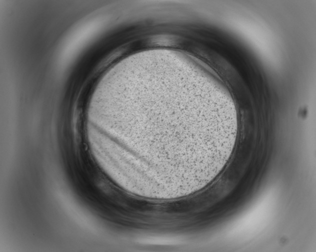 X0000102831438200809151029