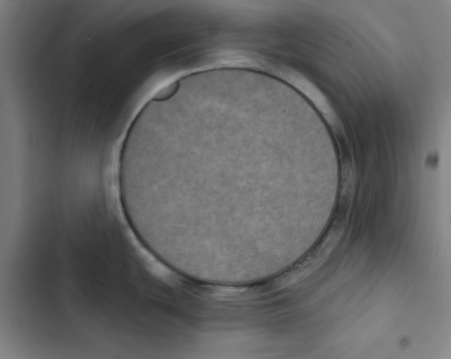 X0000102831439200809151029