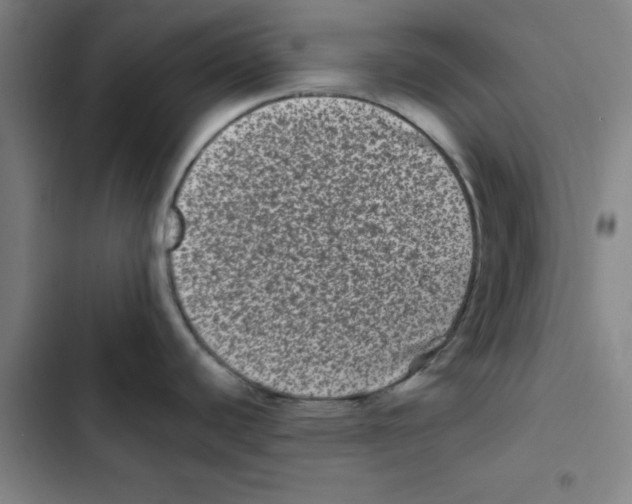 X0000102831440200809151029