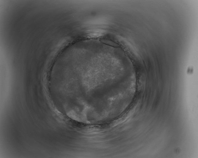 X0000102831441200809151028