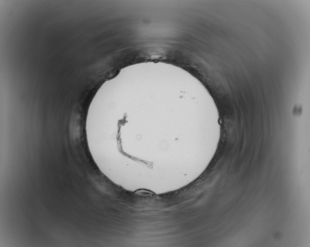 X0000102831442200809151028