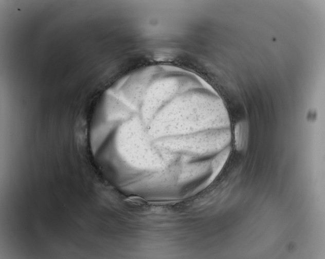 X0000102831443200809151028