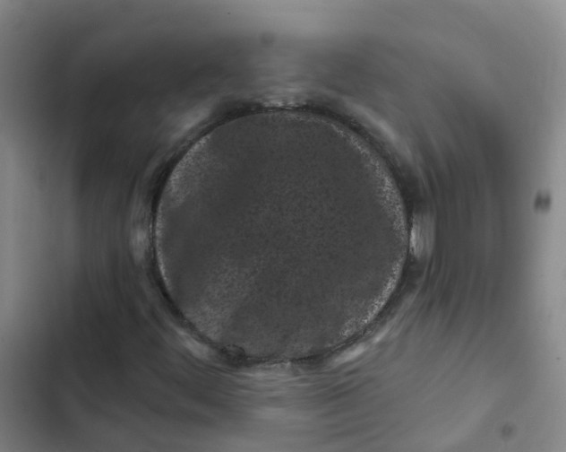 X0000102831444200809151028