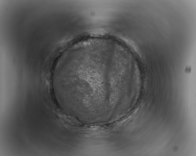 X0000102831445200809151028