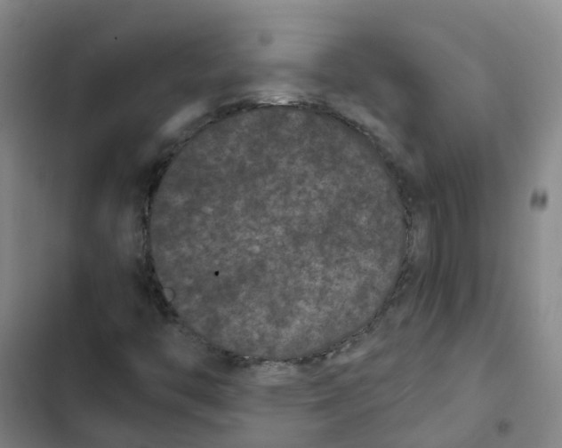X0000102831446200809151028