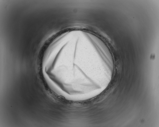 X0000102831448200809151028