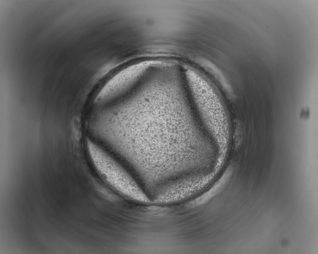 X0000102831449200809151028
