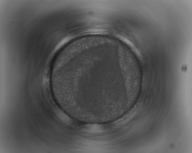 X0000102831450200809151028
