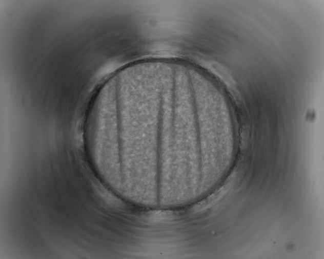 X0000102831451200809151028