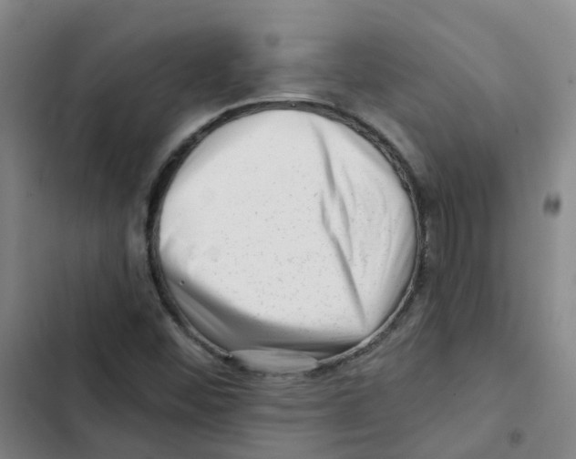 X0000102831452200809151028