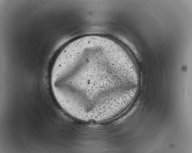 X0000102831453200809151028