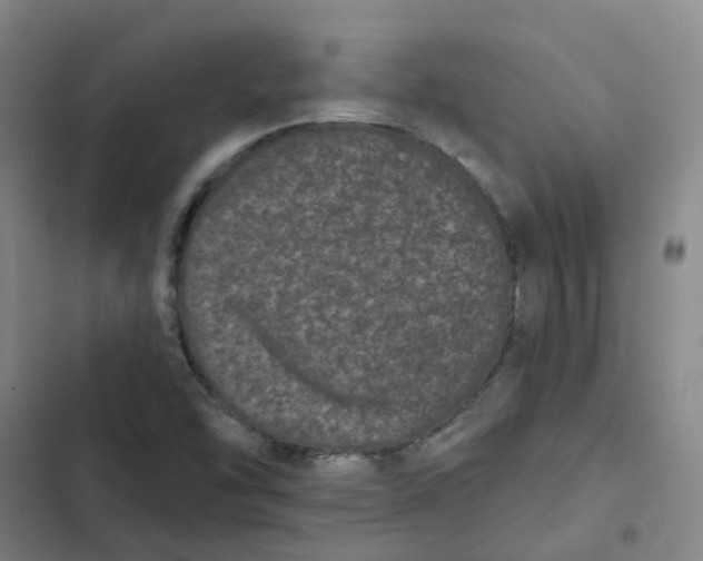X0000102831454200809151028