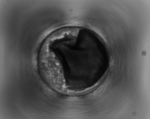 X0000102831455200809151028