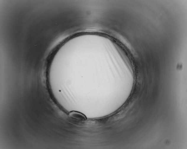 X0000102831456200809151028