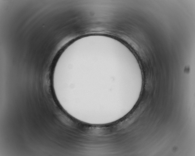 X0000102831458200809151028