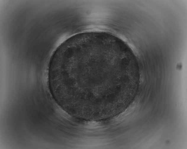 X0000102831459200809151028