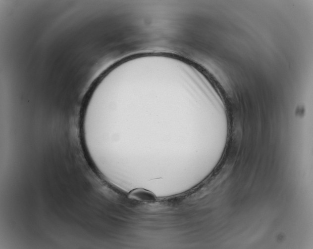 X0000102831460200809151028