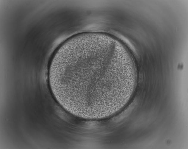 X0000102831461200809151028
