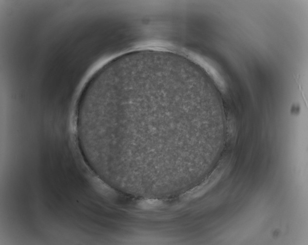 X0000102831462200809151028
