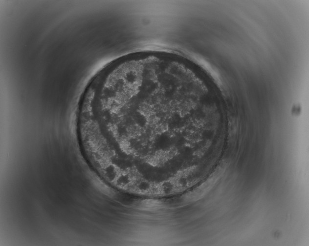X0000102831463200809151028
