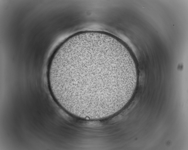 X0000102831464200809151028