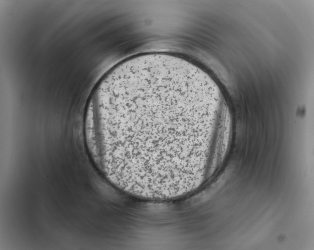 X0000102831465200809151028