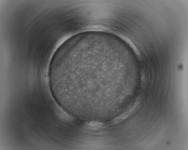 X0000102831466200809151027