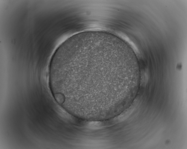X0000102831467200809151027