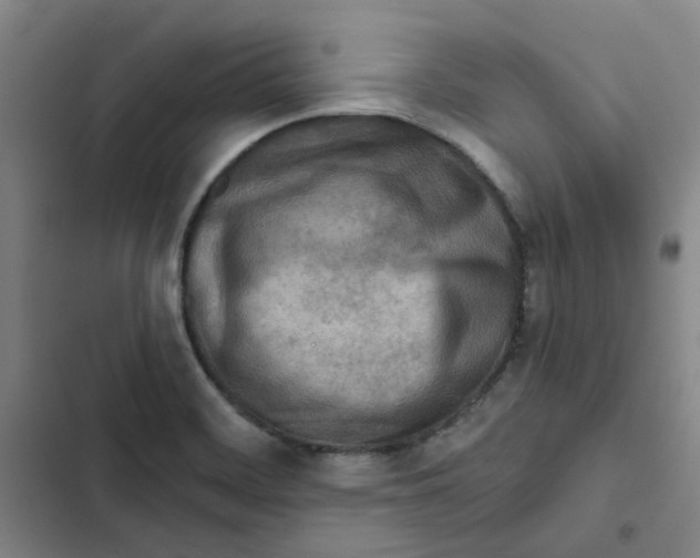 X0000102831468200809151027