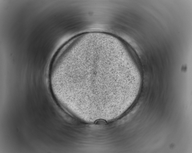 X0000102831469200809151027
