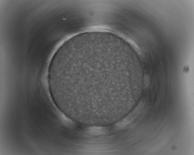 X0000102831470200809151027