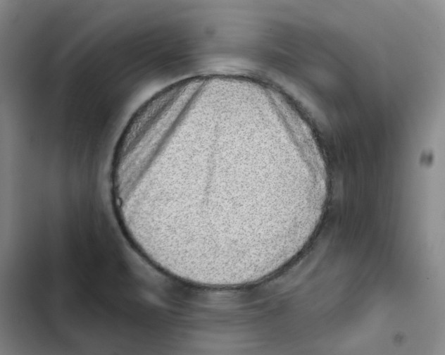 X0000102831471200809151027