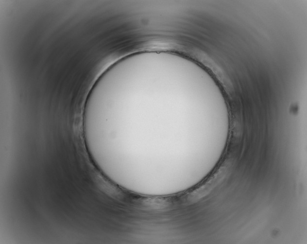 X0000102831473200809151027
