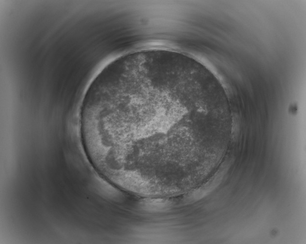 X0000102831474200809151027