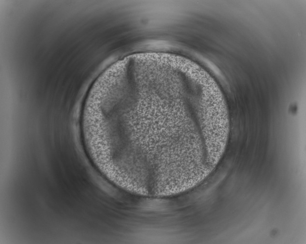 X0000102831475200809151027