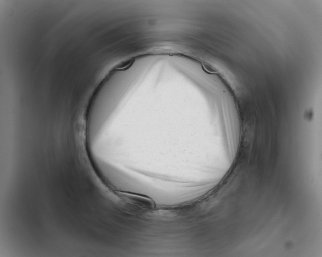 X0000102831476200809151027