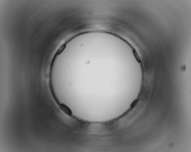 X0000102831477200809151027