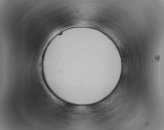 X0000102831479200809151027