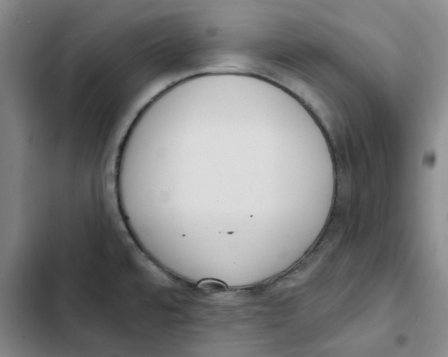 X0000102831480200809151027