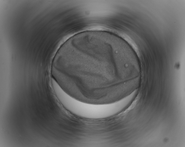 X0000102831481200809151027