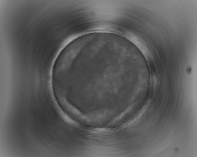 X0000102831482200809151027