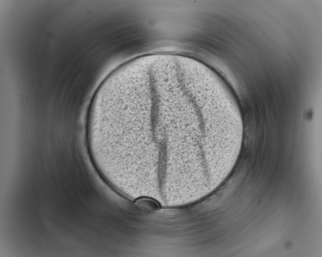 X0000102831483200809151027