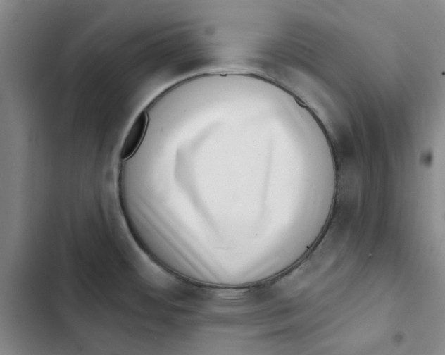 X0000102831484200809151027