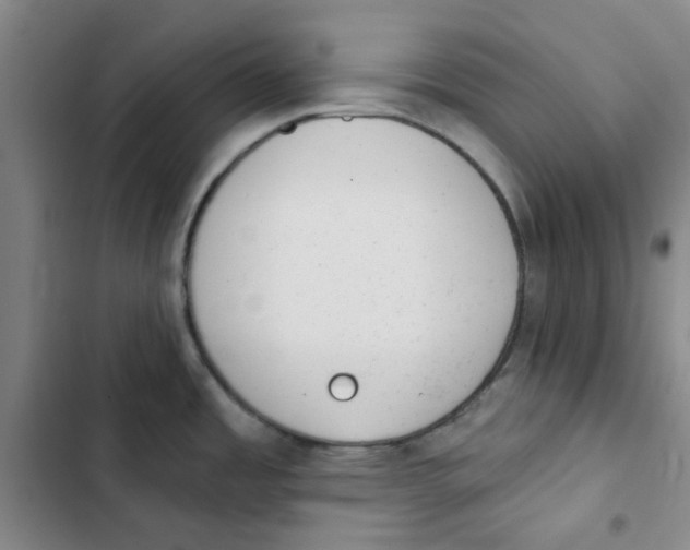 X0000102831485200809151027