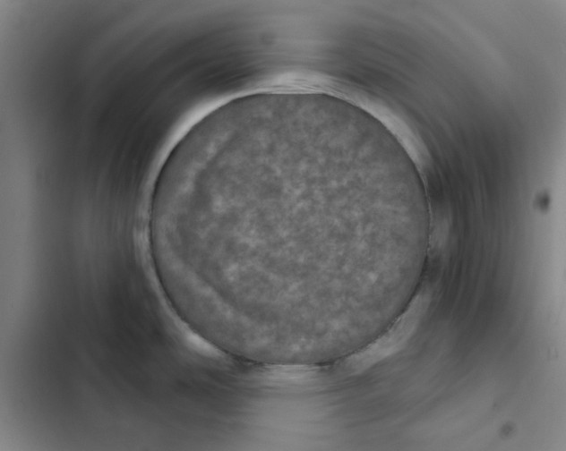 X0000102831486200809151027
