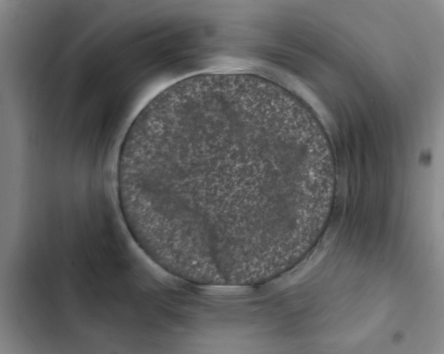 X0000102831487200809151027