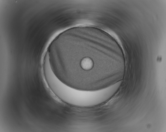 X0000102831488200809151027