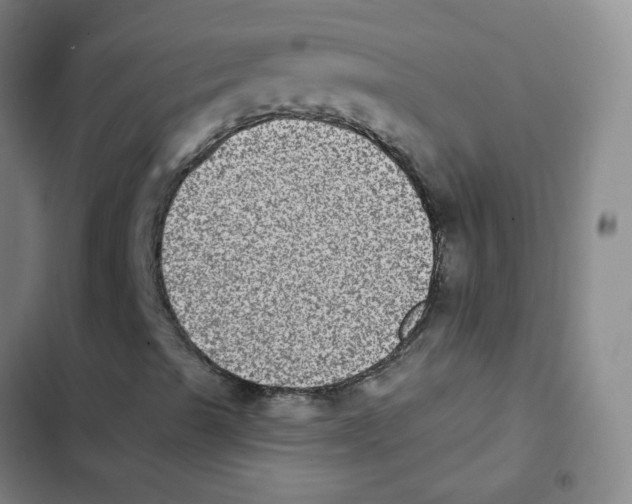 X0000102831489200809151027