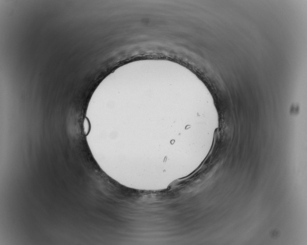 X0000102831490200809151027